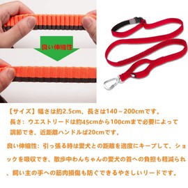 cocomall Dog Leash for Training, Hands-Free, Can Be Worn on the Waist, Shock Absorption, Hands-Free, Stretchable, for Walking, Training, Long Leash, Waist Running, Waist Belt (M, Red)