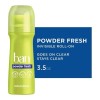 Antitranspirante roll on Ban Powder 103 ml