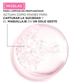 Garnier Agua Micelar Desmaquillante Todo Tipo de Piel 700ml