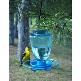 Audubon by Woodink 23890 Audubon Naw Glass Water Feeder, Large, Clear