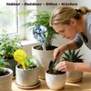 Plant Self Watering Globes, Colorful Glass Plant Watering Device Outdoor