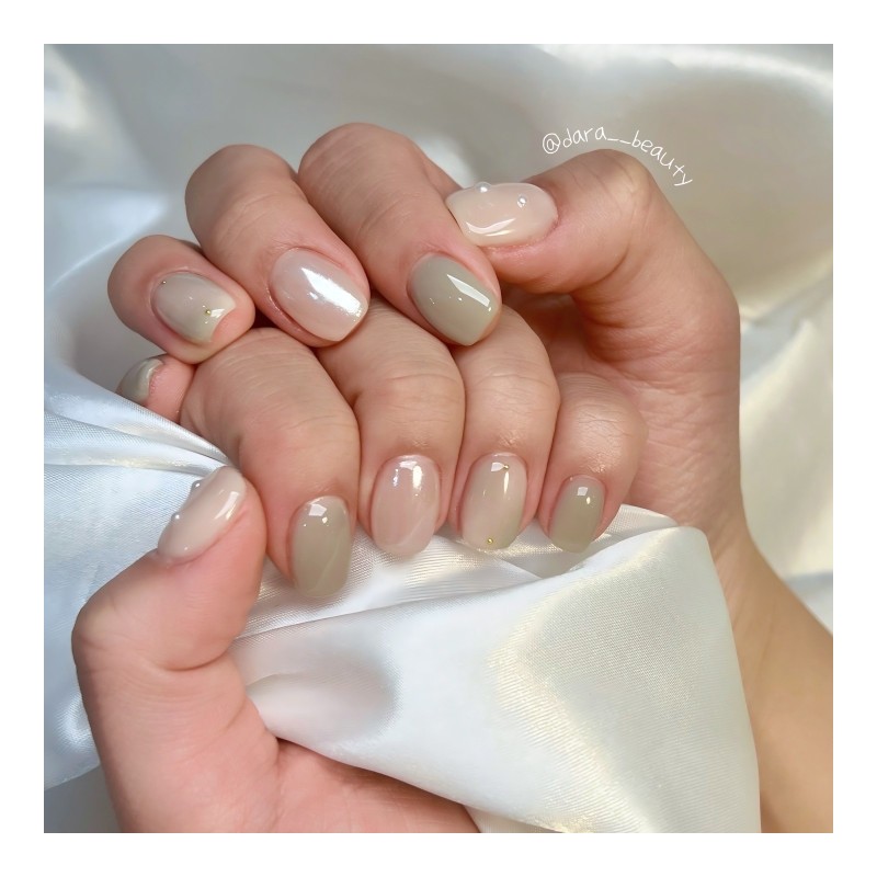 Dara Beauty February 2025 Art of the MonthKhaki Nail❣ -