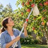 Fruit Picker Tool for Harvesting Tree Fruit – 14cm Fruit