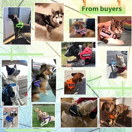 voopet Service Dog Harness, No-Pull Emotional Support Pet Vest Harness, Reflective Breathable and Adjustable Pet Halters for Small Medium & Large Dogs (with 4 PCS Removeable Tags)