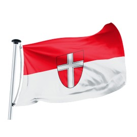 FLAGLY Premium Vienna Flag 100 x 150 cm - 115 g/m² Fabric Weight - Printed, Robust and Weather-Resistant Gloss Polyester with Eyelets (100 x 150 cm, Vienna)