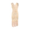1920s Women's Gatsby Costume Flapper Dresses V Neck Fringed Dress