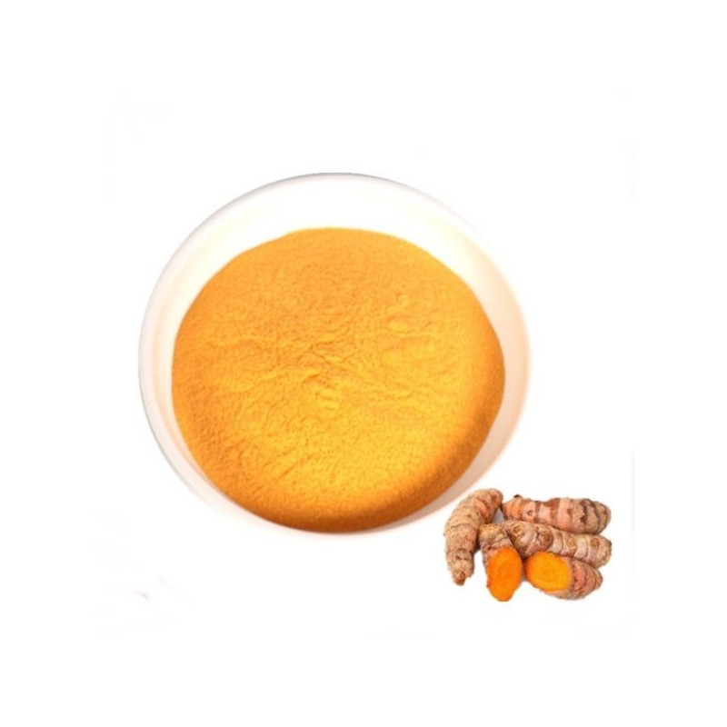 강황추출분말 100g 샘플 Turmeric Extract Powder 100g Sample