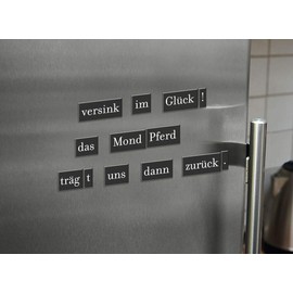 moses. libri_x Magnetic Poetry Set for Everyday Poetry and Word Spell, 500 Magnets for Magnetic Board, Memo Board or Fridge