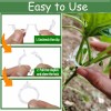 7Queen 250PK Secured Plastic Plant Clip, Plant Support Clips, Garden