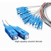 Lianshi 12 Fibers SC Single-Mode Color-Coded Fiber Optic Pigtail