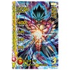 Dragon Quest Dai Adventure Cross Braid Limited Card & 9