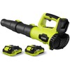Leaf Blower Cordless, Electric Cordless Leaf Blower with 2 Batteries
