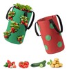 2-Pack Hanging Strawberry Grow Bags: Durable Planter Bags for Strawberries,