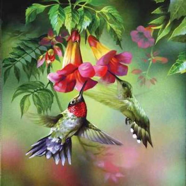 SUNSOUT INC - Summer Hummer - 1000 pc Jigsaw Puzzle by Artist: Spencer Williams - Finished Size 26" x 26" - MPN# 63160