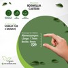 fairvital Boswellia Carterii 400 mg, 120 Vegan Tablets, African Frankincense