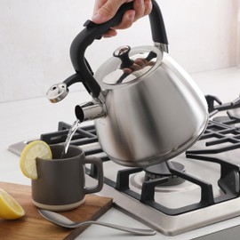 Mr. Coffee Armidale Large 2.5QT Brushed Stainless Steel Whistling Tea Kettle