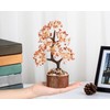 GUJOXILA Carnelian Crystal Tree Healing Crystals Gift for Women Red