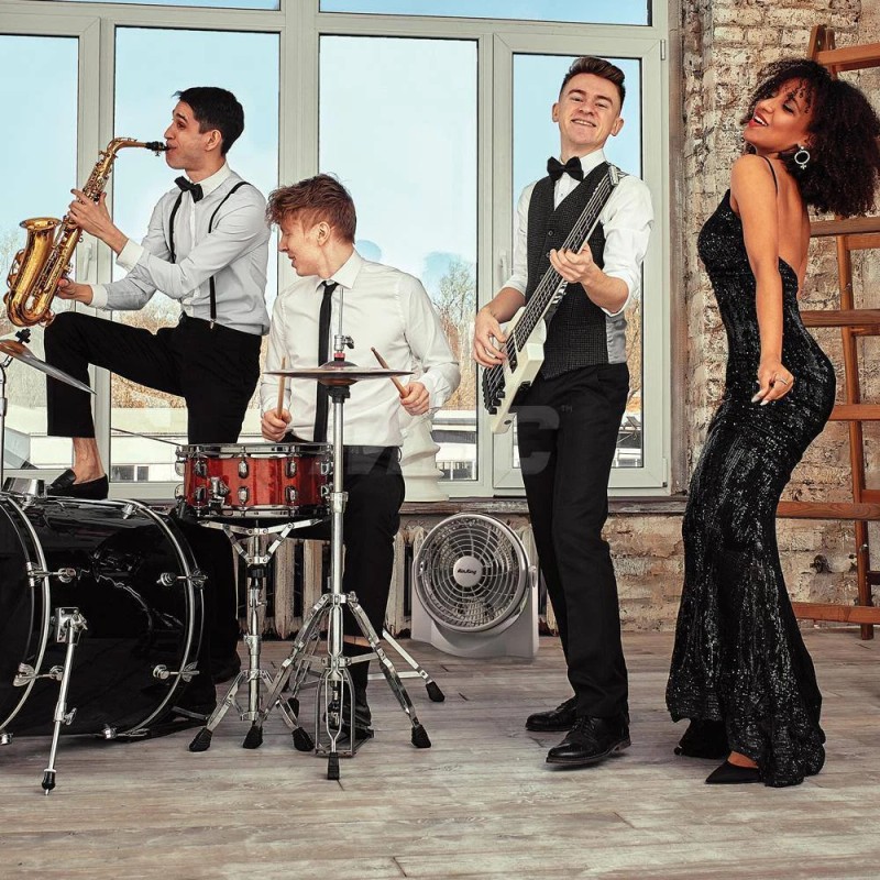 Air King AK9530 Pivot Fan: 9" Blade, 700 Max CFM,