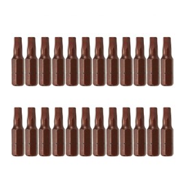 Rannb 4mm Hex Tamper Resistant Bit Set 1/4 Inch Hex Shank Magnetic Bit Set 1 Inch Length - 24pcs