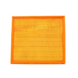 Purflux A1029 Air Filter