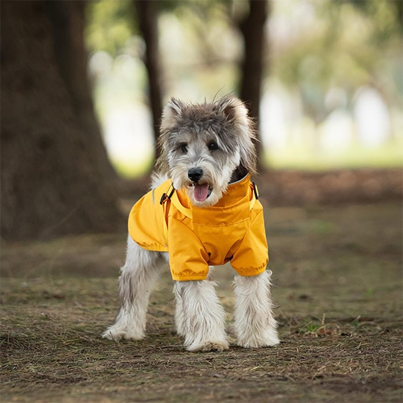 Dog Raincoat with Harness for Small and Medium Dogs, Waterproof