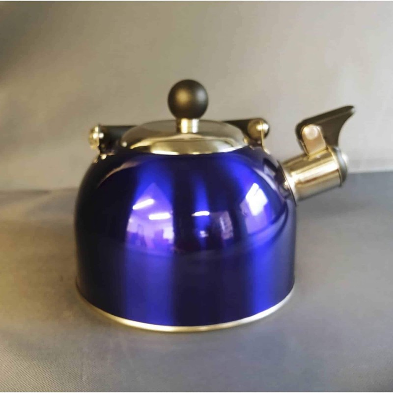 Blue 1.6 Litre Gas Hob Kettle with Folding Handle Caravan