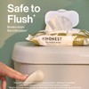 The Honest Company Flushable Wipes for Sensitive Skin | Fragrance