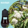 HAPPTWS Aromatherapy Essential Oil Set - 3-Piece Essential Oil Set
