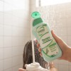 Shampoo Anti Caida De Romero Y Acido Hialuronico Gema 900