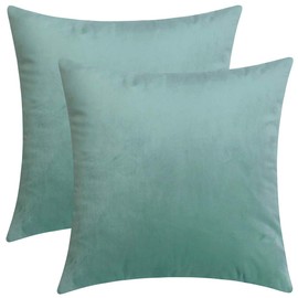 Artcest Set of 2 Decorative Velvet Throw Pillow Cases, Soft Solid Cushion Covers for Sofa Couch and Bed, 20"x20" (Seafoam)