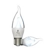 Fliq Ice | LED Flame Light Bulb | 2 Pack