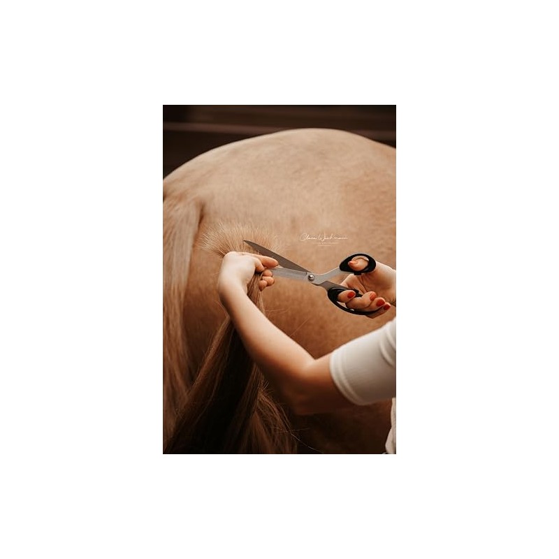 Tail Scissors – Horse Scissors in Stainless Steel