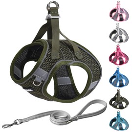 AIITLE Step in Dog Harness and Leash Set for Walking - Adjustable Dog Harness with Padded Vest for All Weather, Reflective Adjustable Pet Harness, Easy to Put on Small Dogs Army Green S