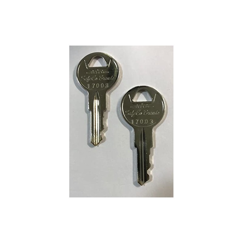 SafeCo Brands 17003 Fire Lite Replacement Fire Alarm Keys 2-