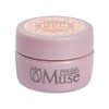 PREGEL Muse PGU-P128 Color Gel Star Sand and Sunset, 0.1