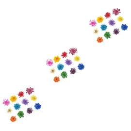Healvian 3pcs Colors Flower Nail Art Stickers Real Dried Flower Applique Design for Nail Decoration Easy to Apply for Home
