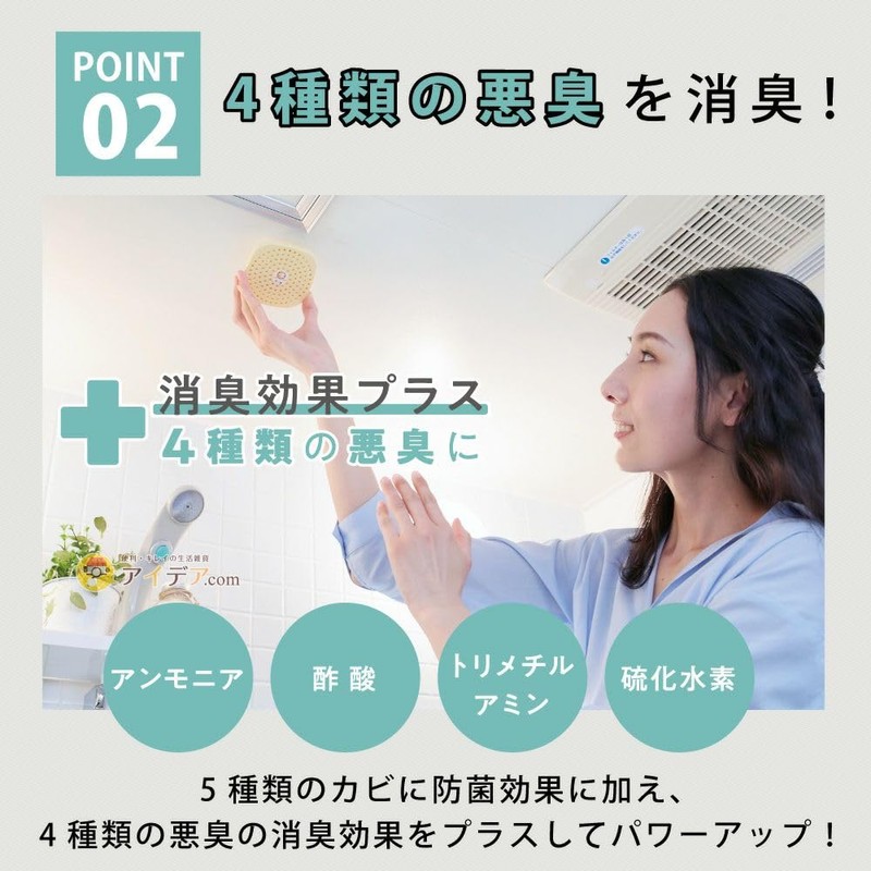 Cogit Power Bio Mold Cleaning in Baths, Mold Prevention and