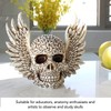 Skull Statue Butterflies Pattern Handcraft Exquisite Skeleton Head Statue with