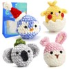 Crochet Kit for Beginners, 4 Pattern Animals, Rabbit, Koala, Penguin,