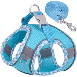 DoggieKit Dog Harness for Small Medium Dogs No Pull Adjustable Step in Puppy Harness and Leash Set,Reflective Breathable Mesh Pet Harnesses Soft Padded Vest for Dogs Easy to Put on