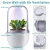 Ronjregan Smart Planter with Timer and Fan, Small Terrarium Kit