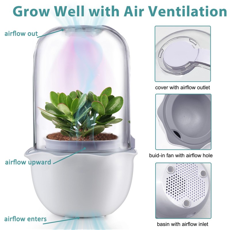 Ronjregan Smart Planter with Timer and Fan, Small Terrarium Kit