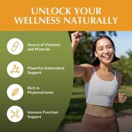 Jiva Botanicals Jiva Botanicals Moringa Leaves Extract Capsules - Made from Moringa Leaf Powder and Oleifera Supplement for Immune and Normal Joint Support - 90 Capsules