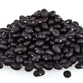 Black Bean Seeds
