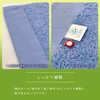 今治(Imabari) フェイスタオル そーれ ブルー 33×80cm 2枚セット