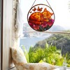 ZUSANG Cat Pattern Suncatcher Stained Glass for Kitty Lovers, Stain