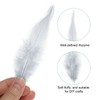PATIKIL 3-6 Inch Saddle Hackle Rooster Feather, 100 Pcs Bulk