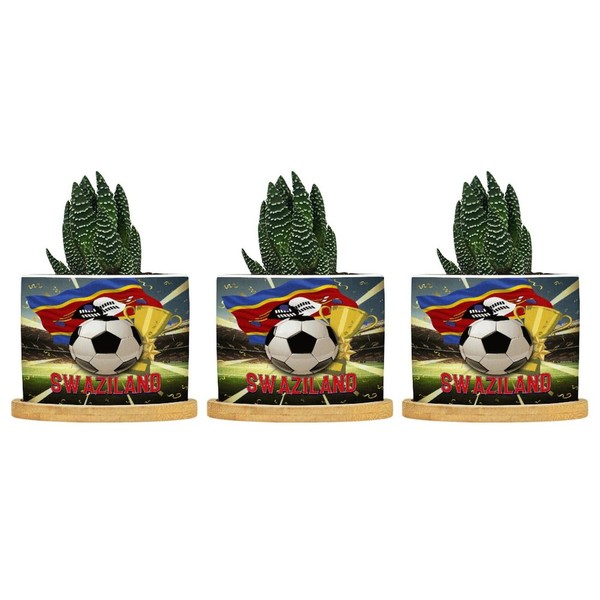 DecStic Soccer Sport with Swaziland Flag Planters Ceramic Country Flags