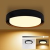 Hlite 13 inch Ceiling Light Fixture,Modern LED Flush Mount Ceiling