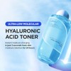 IsNtree - Ultra-Low Molecular Hyaluronic Acid Toner 300ml, 10.14 fl.oz